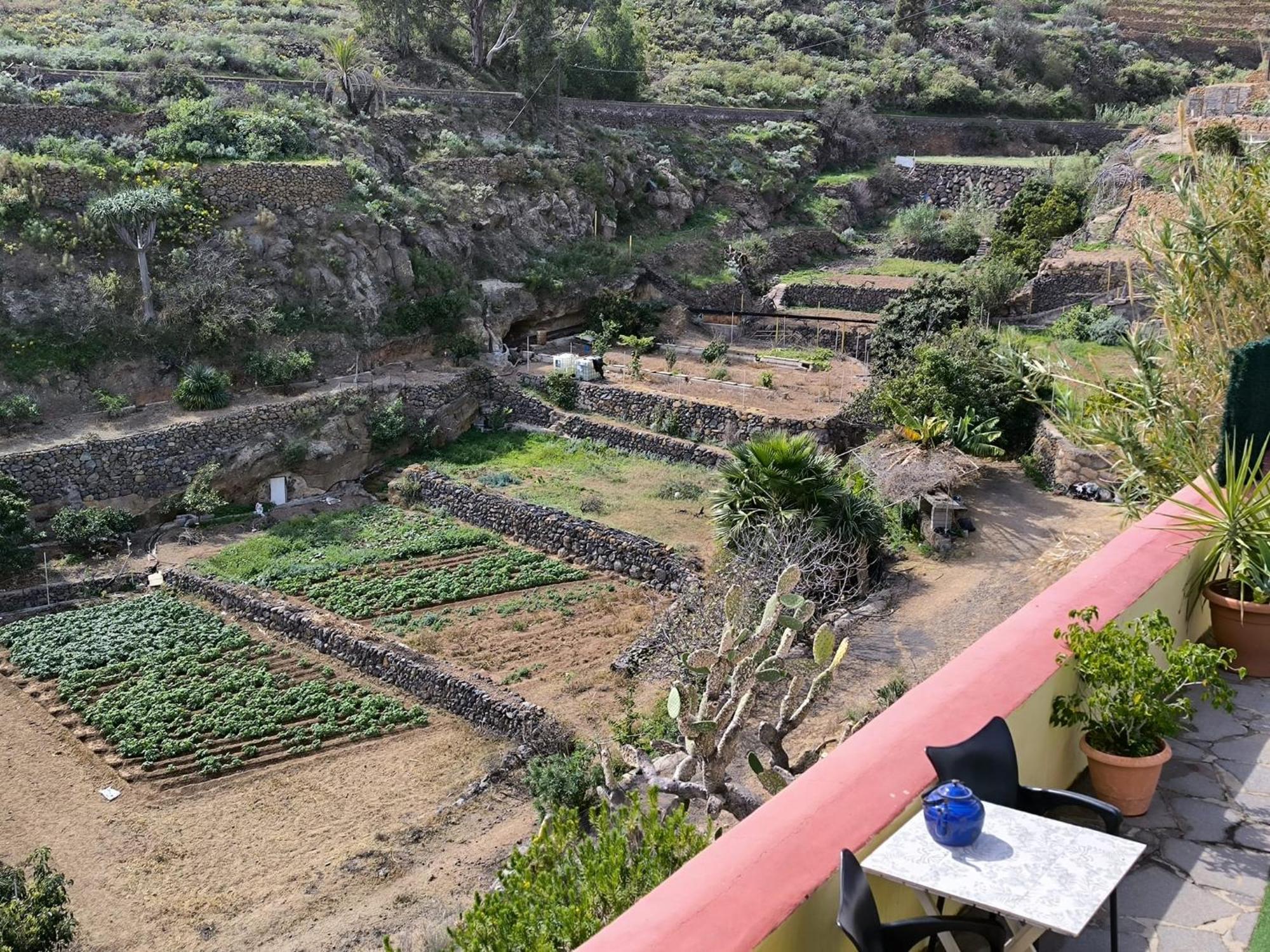 Hotel Rural La Raya 1866 Güimar Esterno foto